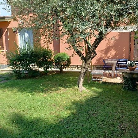 Apartamento A Casa Di Berta Pietrasanta Exterior foto