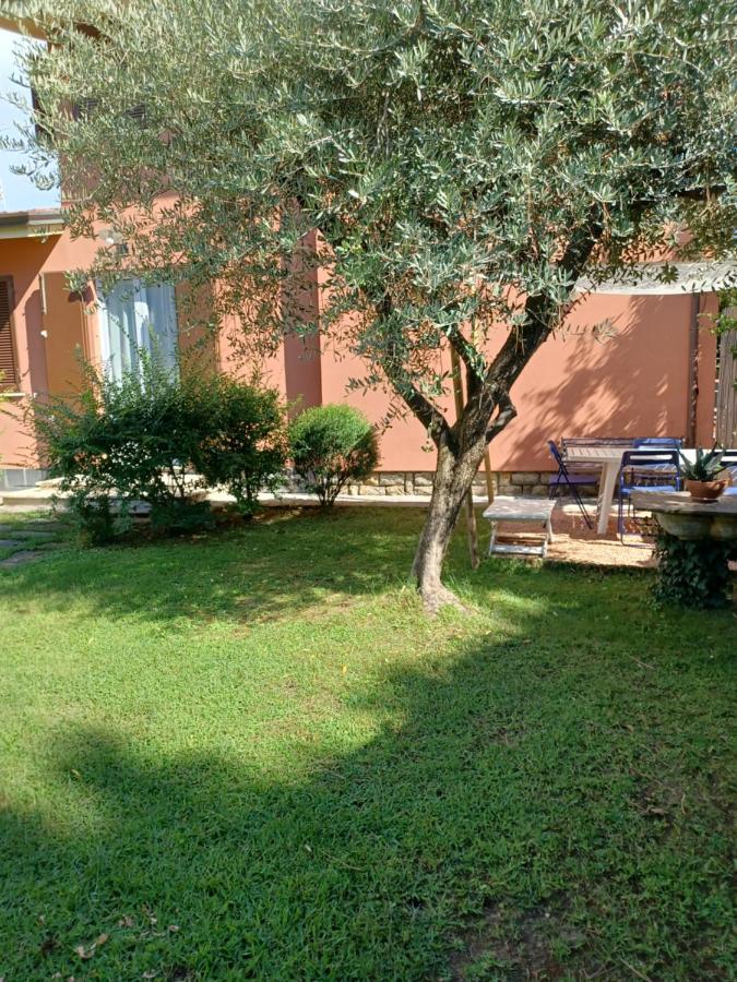 Apartamento A Casa Di Berta Pietrasanta Exterior foto