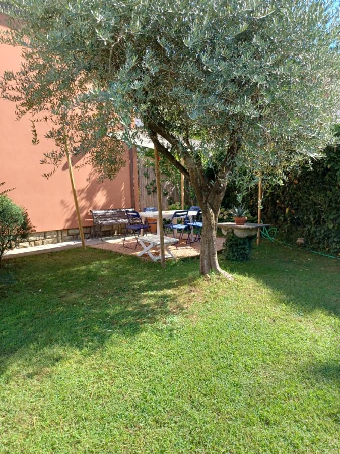 Apartamento A Casa Di Berta Pietrasanta Exterior foto